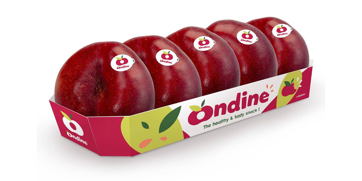 Ondine, inizia la campagna commerciale